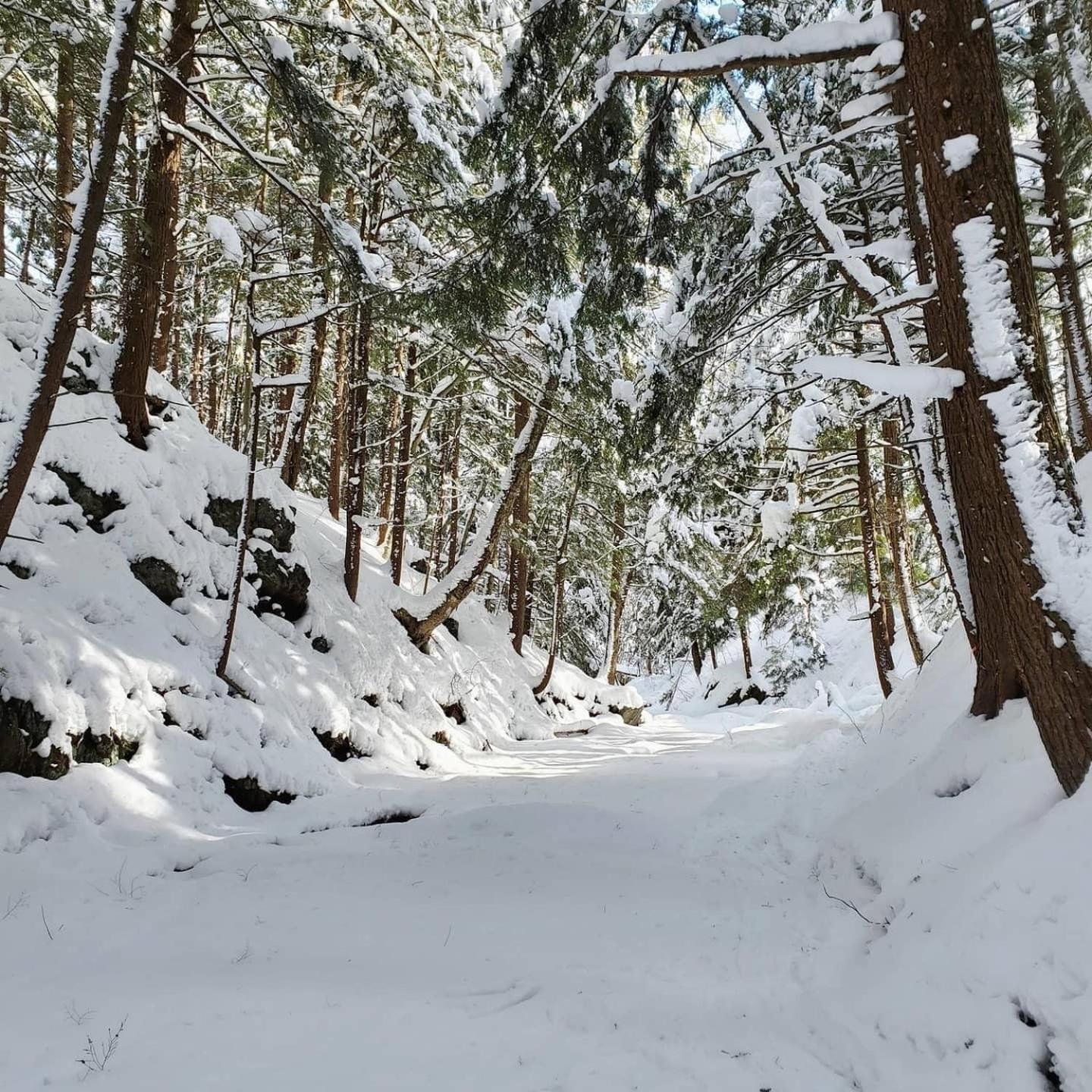Paradis Sauvage Geronimo Saint-Etienne-de-Bolton Екстер'єр фото